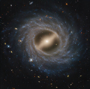 Barred Spiral Galaxy NGC 5335