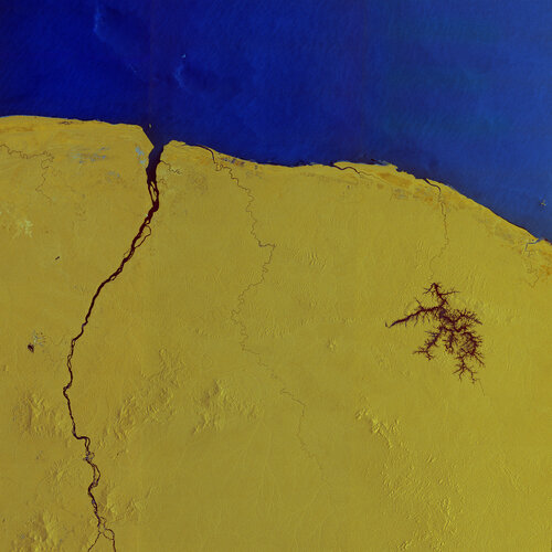 Copernicus Sentinel-1 captured this radar image over French Guiana – home to Europe’s Spaceport in Kourou, where ESA’s Biomass mission is being prepared for liftoff on 29 April onboard a Vega-C rocket.