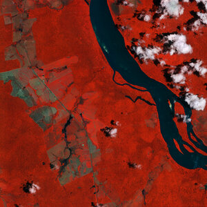 Ahead of the 30th UN Climate Change Conference of the Parties (COP30) taking place in Belém, Brazil, from 10-21 November, this IRIDE image shows the Branco River and its surrounding forests in the Brazilian state of Roraima. 