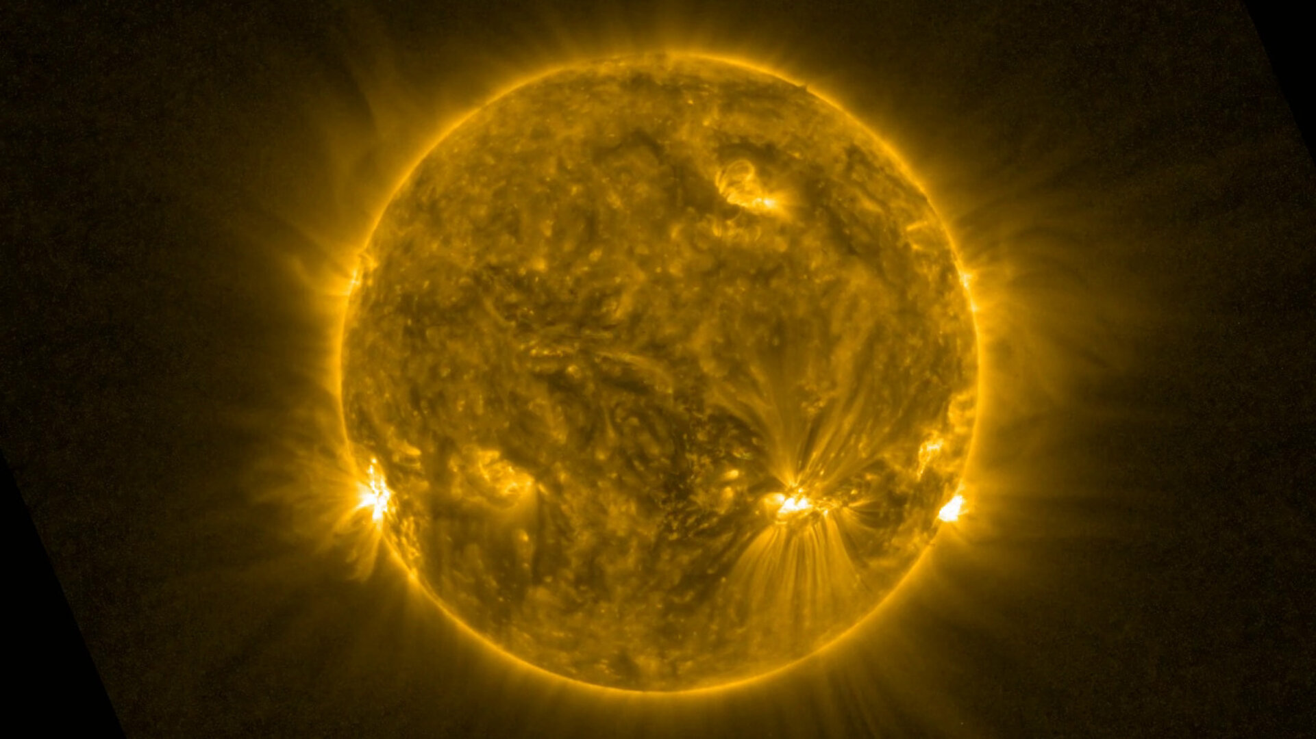 تم العثور على ثعبان الشمس ينزلق عبر سطح الشمس